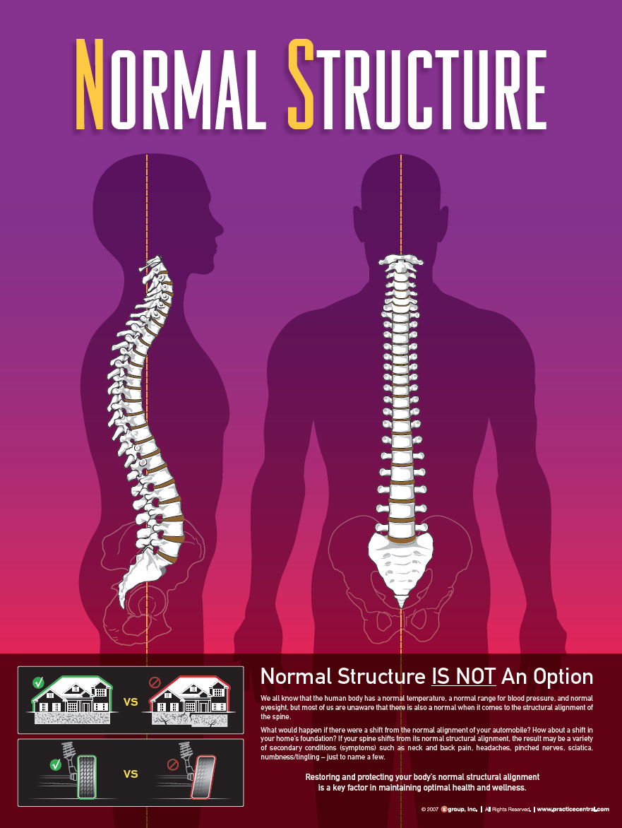 Normal Stucture of Spine